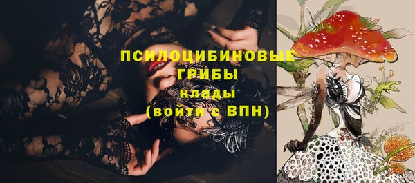 дурь Лихославль