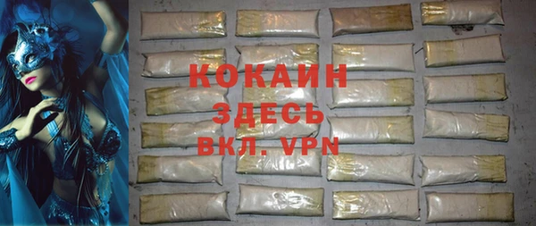 стафф Алексин