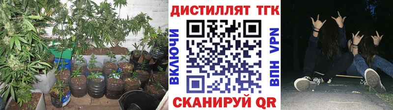 ТГК Wax  Суровикино 