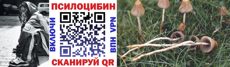 Галлюциногенные грибы Magic Shrooms  МЕГА сайт  Суровикино 
